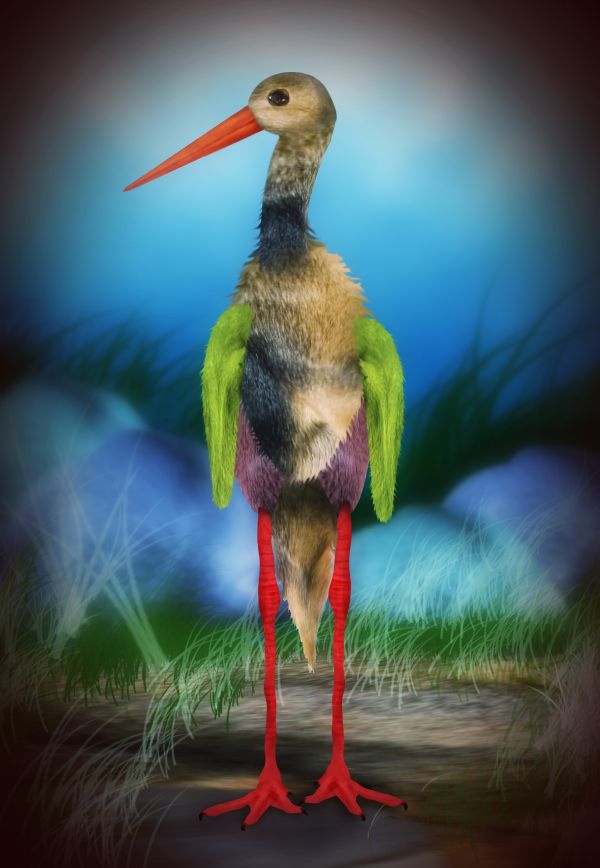 Creation of Stork: Final Result